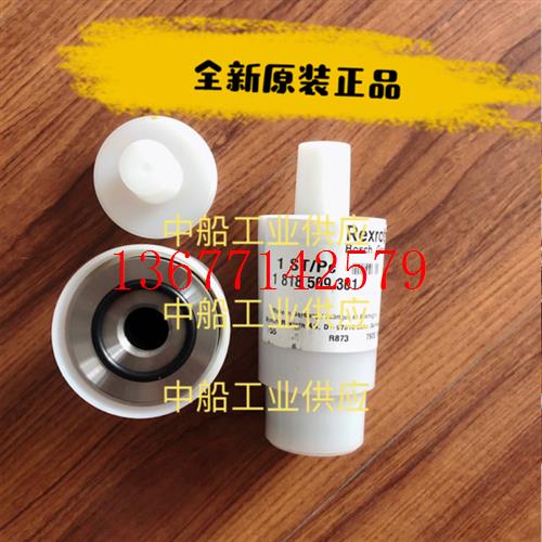 议价R900912576LC25A05E7X/ 全新原装正品力士乐插装阀