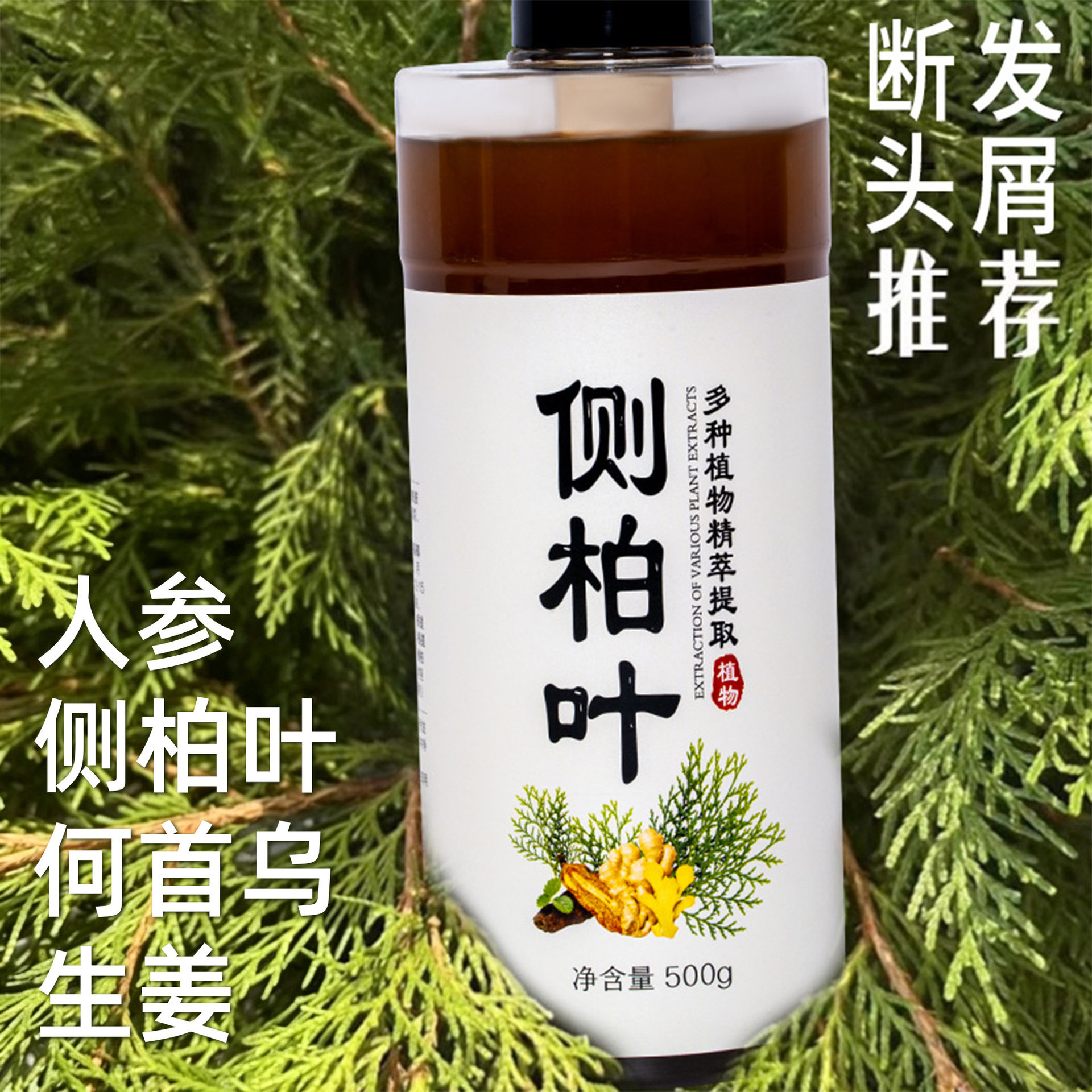 侧柏叶洗发水首乌植物养发无硅去屑止痒控油草本天然去屑止痒