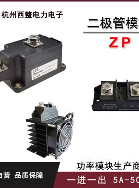 杭州西整ZP100A防反二极管防逆流