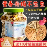 Little Homster Grail Golden Bear Main Grain, крысы, крысы, выставленные на корм