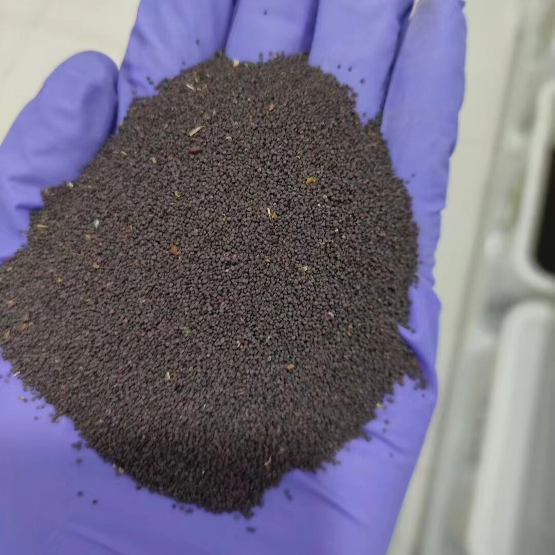 高雪轮种子高雪伦种籽大蔓樱草美人草蝇子草花籽花种5四季花