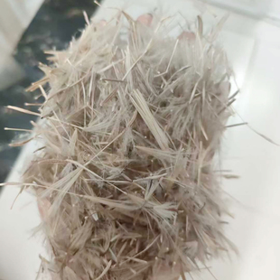 婆罗门参种子5