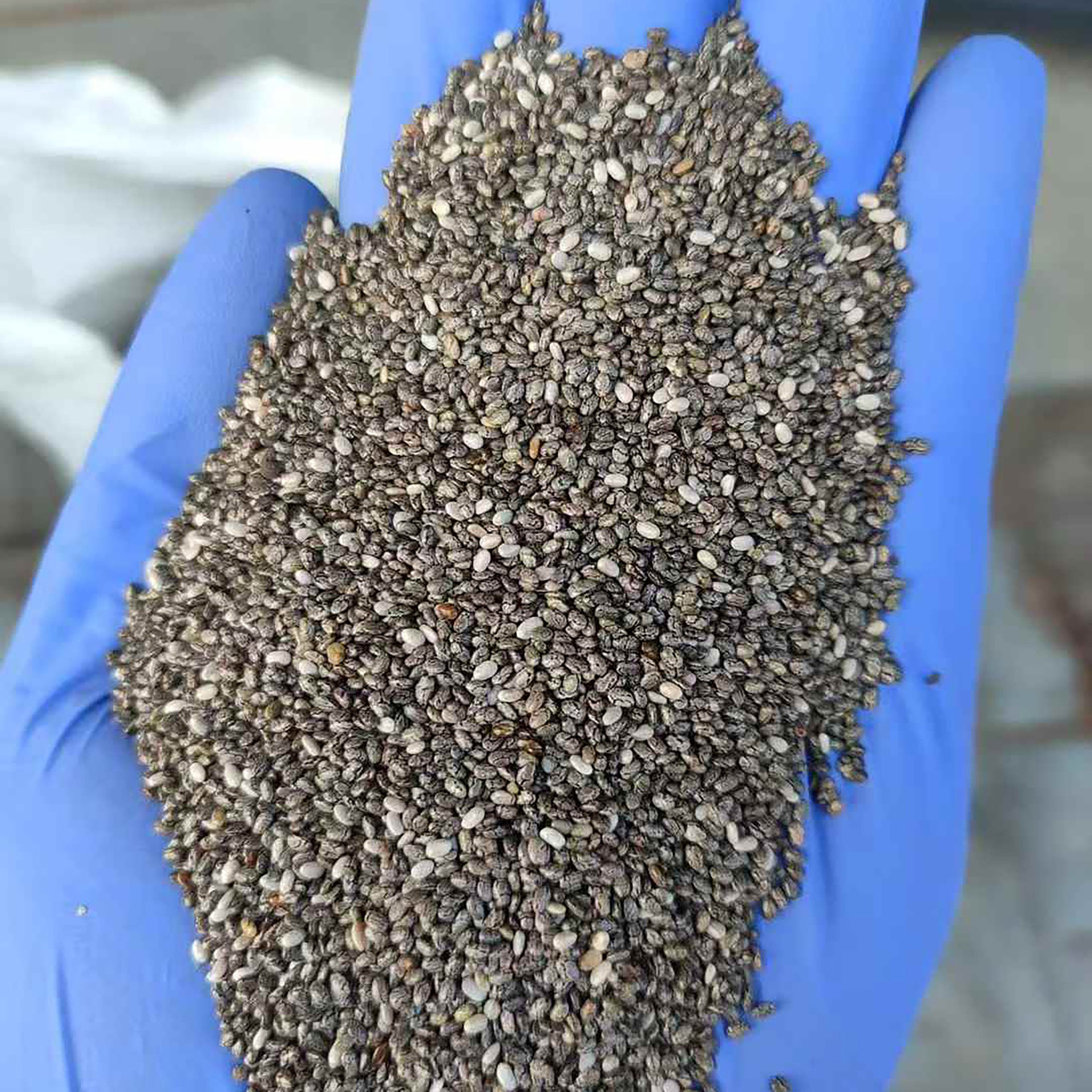 奇亚籽种子代餐饱腹粗粮种籽