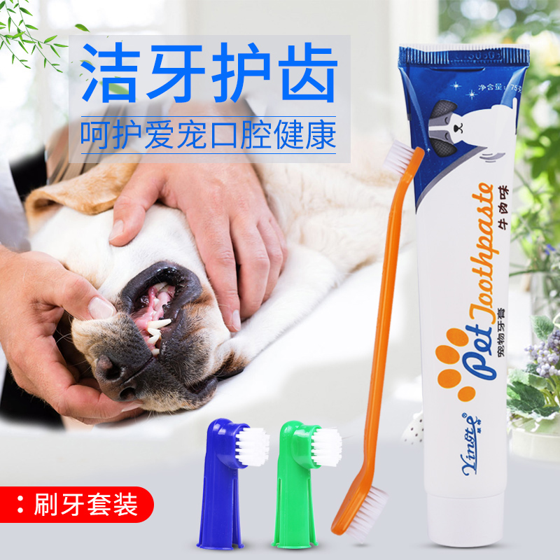 狗狗牙刷牙膏套装刷牙猫狗除口臭用品泰迪宠物牙齿洁牙可食用猫咪