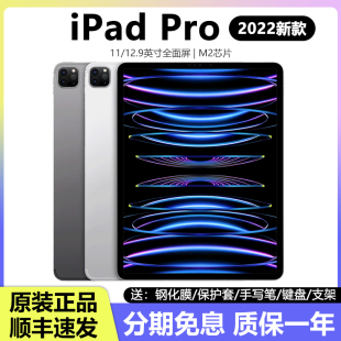 外版 蘋果ipad pro2022平板電腦ipadpro2024新款 原封 零售機Apple