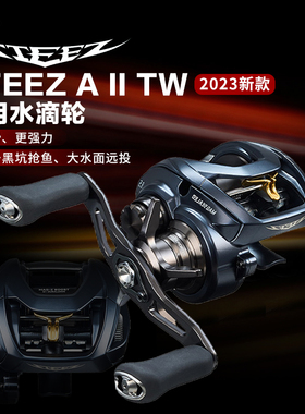 25款达亿瓦史帝兹STEEZ AⅡ TW远投水滴轮DAIWA达瓦四弟子a2/AII