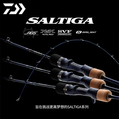 达亿瓦23新款SALTIGASJ.W路亚竿