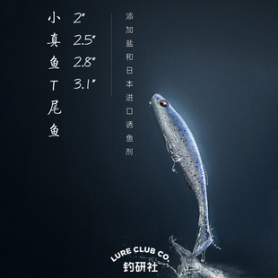 飛螞蟻小真魚T尾軟餌FISHANT路亞假餌仿生餌4種尺寸14種顏色可選