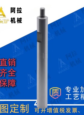 SPJW SSPJW PSPJW RSPJW SPWR SR PSPWR12-158-M8-N8-SC70 导向轴