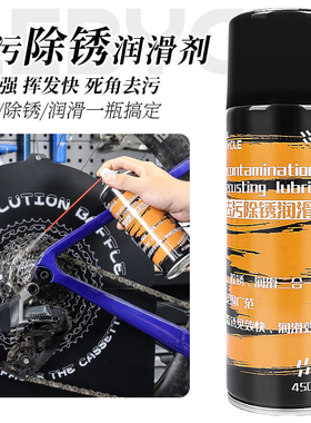 乐百客专用清洗除锈剂山地公路自行车清洁飞轮链条润滑油清洗剂