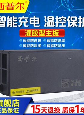 适用西普尔充电器电动车电摩72v20ah新日绿佳欧派绿驹72v3A通用头
