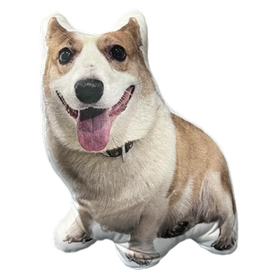 猫咪抱枕定制狗狗玩偶宠物可爱异形人形来图做毕业礼物送男女生