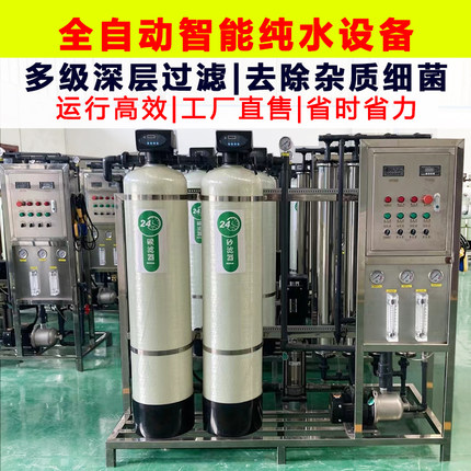 反渗透超纯水净化设备食品化妆品厂工业净水设备反渗透EDI纯水机