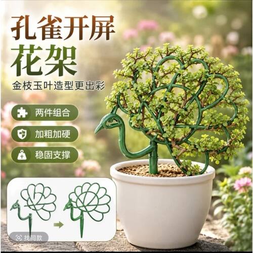 孔雀造型花架创意盆栽装