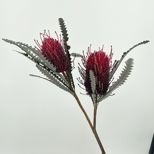 2头贝塔斯秋色班克木朝鲜蓟仿真植物家居摆放花艺样板房道具插花