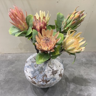 仿真帝王花霸王花南非安娜公主皇后进口班克木佛塔木海神花朝鲜蓟