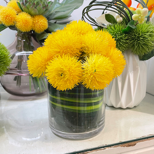 手感保湿绿毛球绿石竹仿真花软胶葱球现代软装桌面摆件餐桌花假花