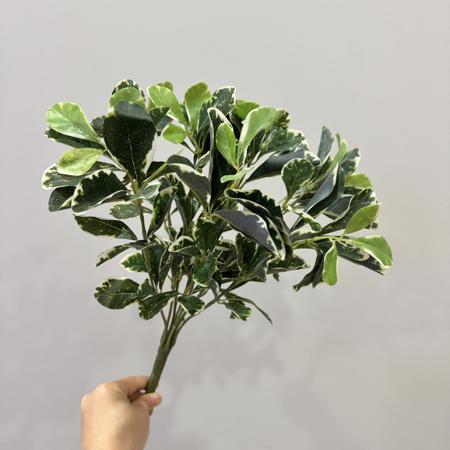 仿真豆瓣叶花材户外仿真绿植布置绿植叶仿真婚庆花艺插花造景