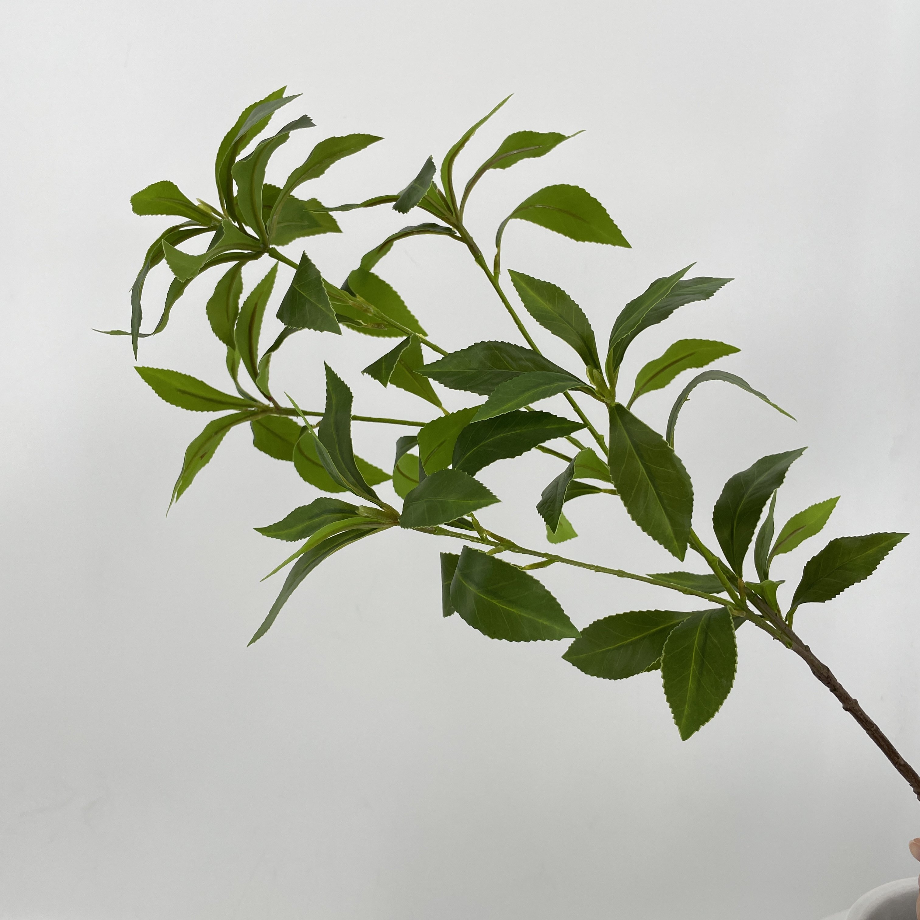 仿真桉树叶万年青绿植假树叶高端过胶把束户外装饰花材榆树柳树叶