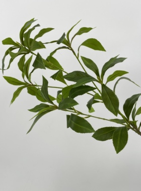 仿真桉树叶万年青绿植假树叶高端过胶把束户外装饰花材榆树柳树叶
