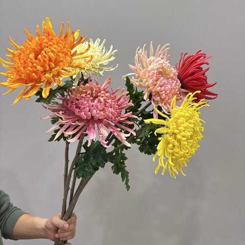 仿真软胶菊花假花艺术插花蟹爪菊装饰花头头饰婚庆客厅花艺造景
