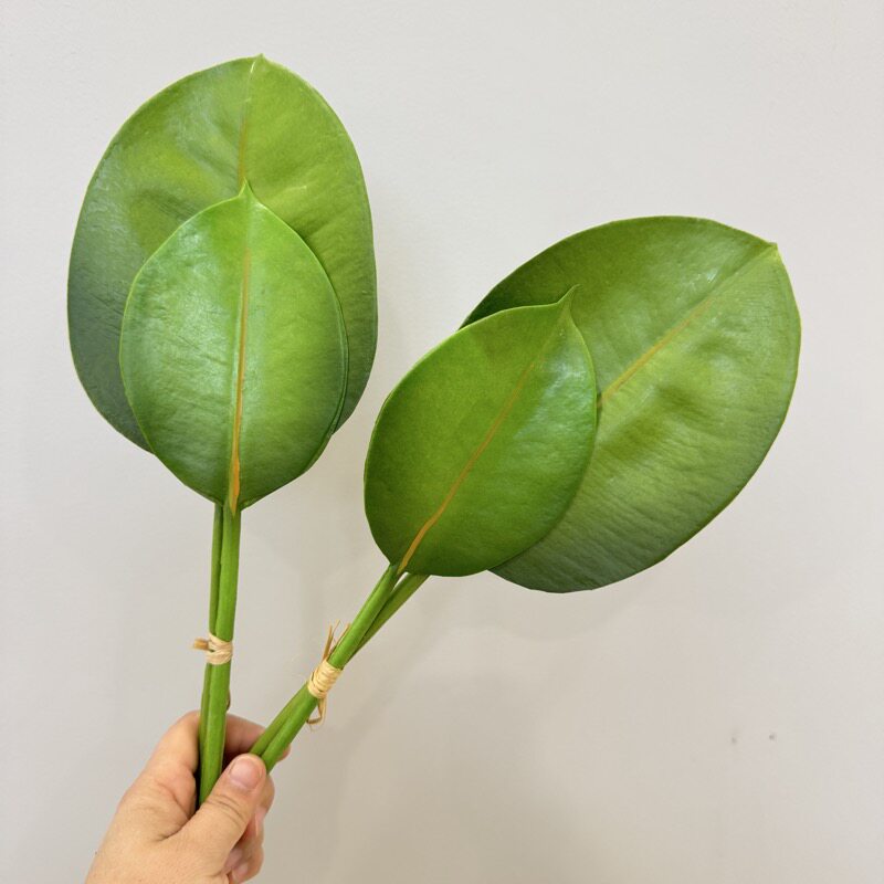 仿真芭蕉叶天堂鸟叶片龟背多肉仙芋叶滴水观音装饰假树叶插花造景