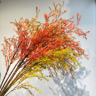 仿真花千层金迷迭香假花天门冬黄金香柳装饰花黄金宝金柳插花造景