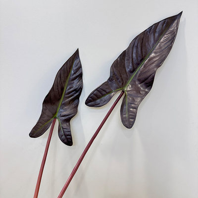 仿真花PU千年芋叶海芋叶彩芋叶天堂鸟花艺叶材造景插花装饰摆件