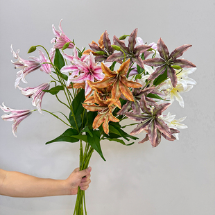 仿真花3头火焰兰火焰百合仿真花千鸟兰 家居美陈花艺设计插花造景