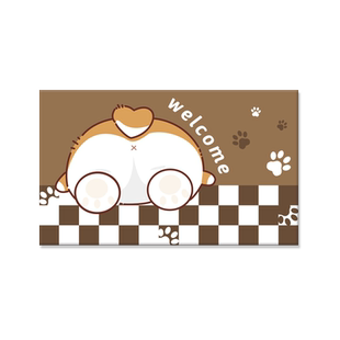 2026新款入门地垫大门口入户门进门踩脚垫门外面耐脏防滑垫好清洗