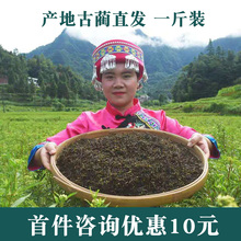 四川古蔺赶黄草叶旗舰店转氨酶中药养生茶益肝非溪黄草泡水喝