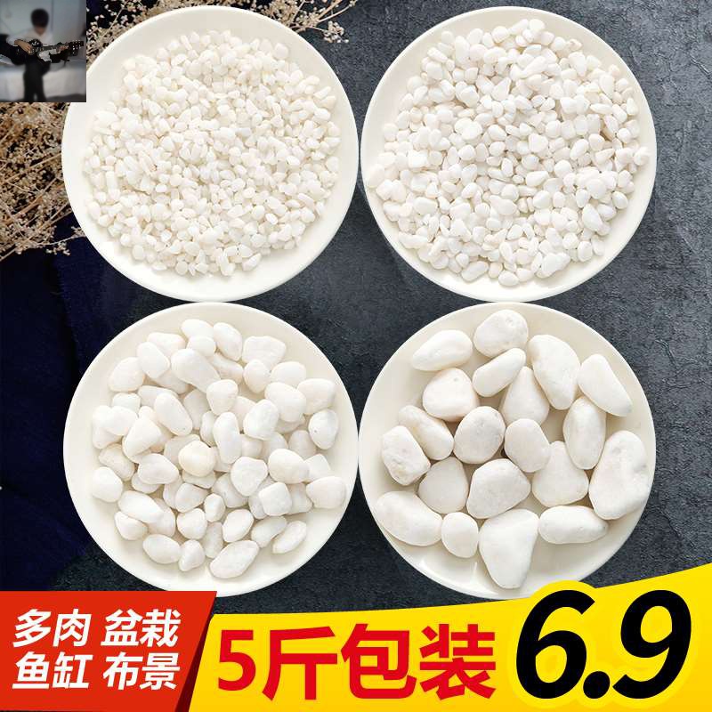 .Coarse sand Coarse ashtray Drum Flower pot Inside hotel Trash modelling Gravel Whitein the Flower delivery/Flowers simulation/Plants gardening , Gardening supplies , Other Garden Supplies  category - from Buy2taobao.com to provide professional Taobao agent buy service