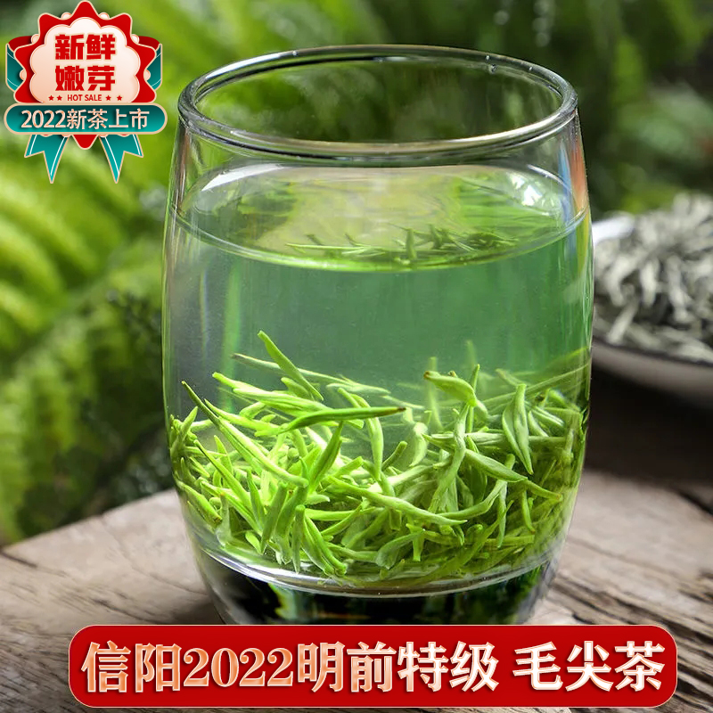信阳毛尖绿茶2023新茶特级明前茶