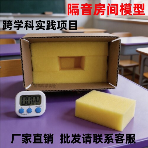 隔音房间模型跨学科实践项目实验