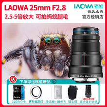 老蛙25mm F2.8 微距2.5-5倍放大 全画幅镜头昆虫标本拍摄手动佳能