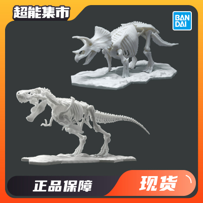 霸王龙拼装模型骨架万代