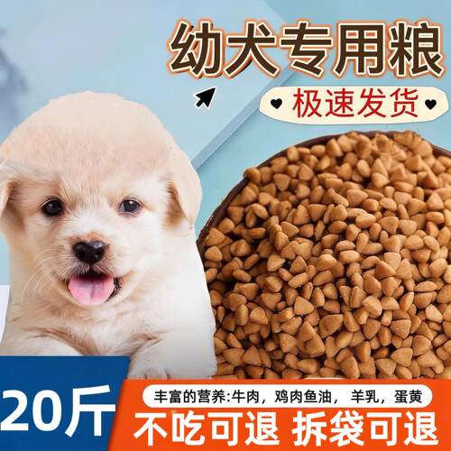 通用成幼犬泰迪金毛比熊土狗清仓