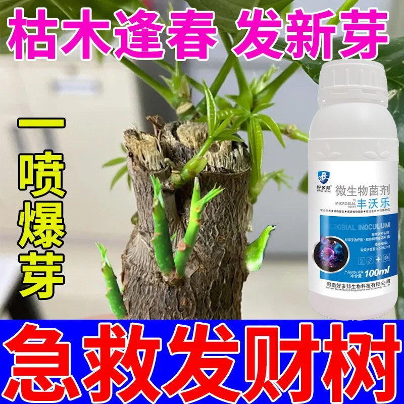 发财树复活液叶斑病专用药叶子发黄斑白斑烂根营养液杀虫剂杀菌药