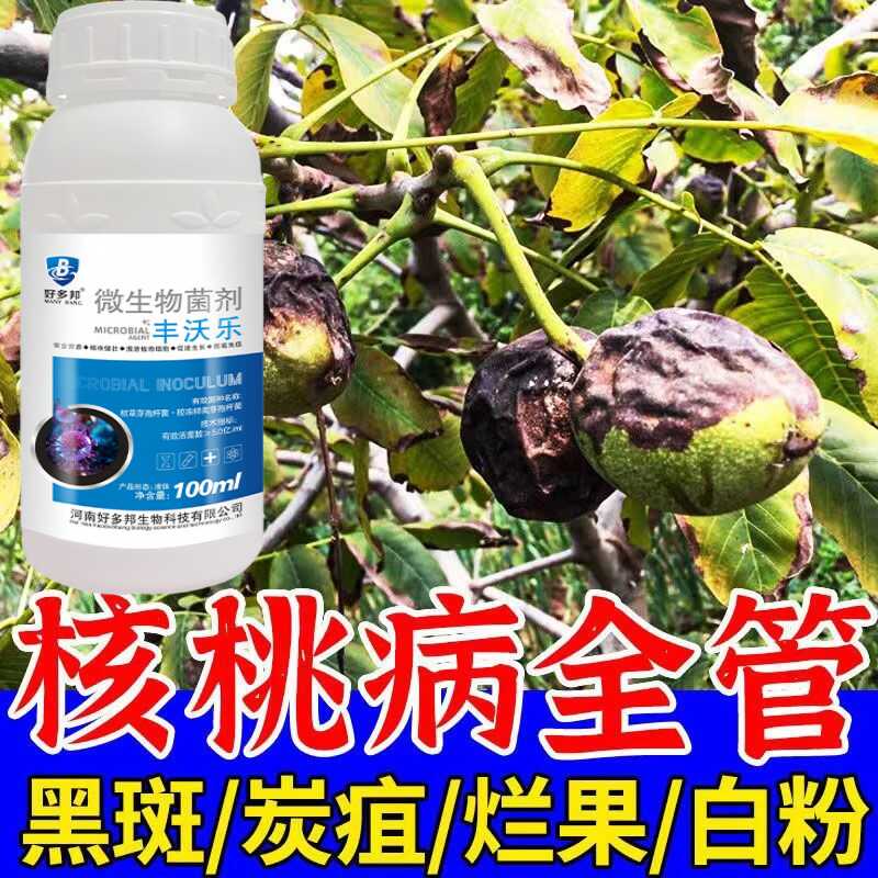 核桃树专用药黑皮褐斑白粉腐烂病烂果黑水病通用杀菌剂核桃病全治