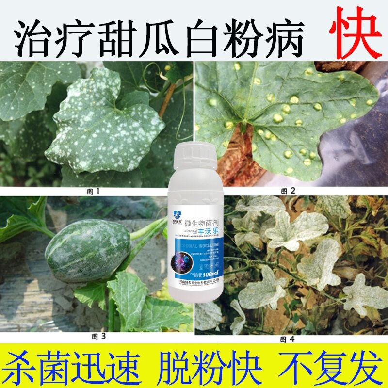 甜瓜病害专用药角斑病枯萎病白粉病炭疽病全治西瓜甜瓜特效杀菌剂
