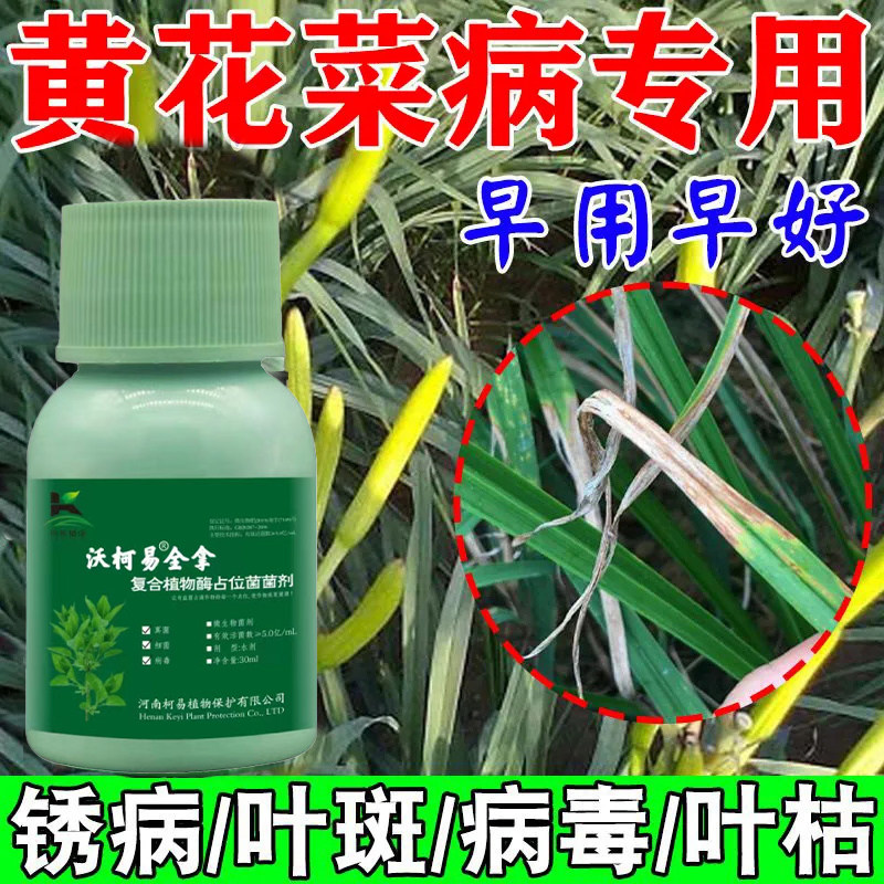 黄花菜病专用锈病药叶枯病炭疽病根腐病叶斑病灰斑蔓枯病通用菌剂