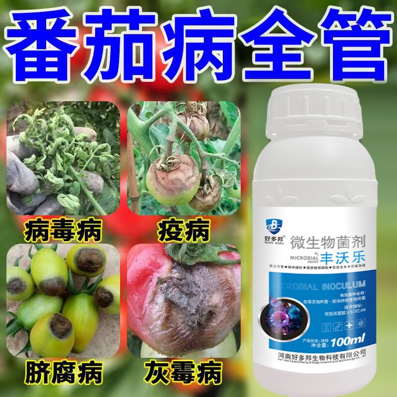 番茄病菌清西红柿专用早晚疫炭疽白粉病溃疡黄叶枯萎微生物菌剂肥