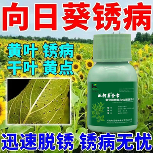 向日葵通用根腐烂头病向日葵花油葵烂盘子菌核病药微生物菌剂正品