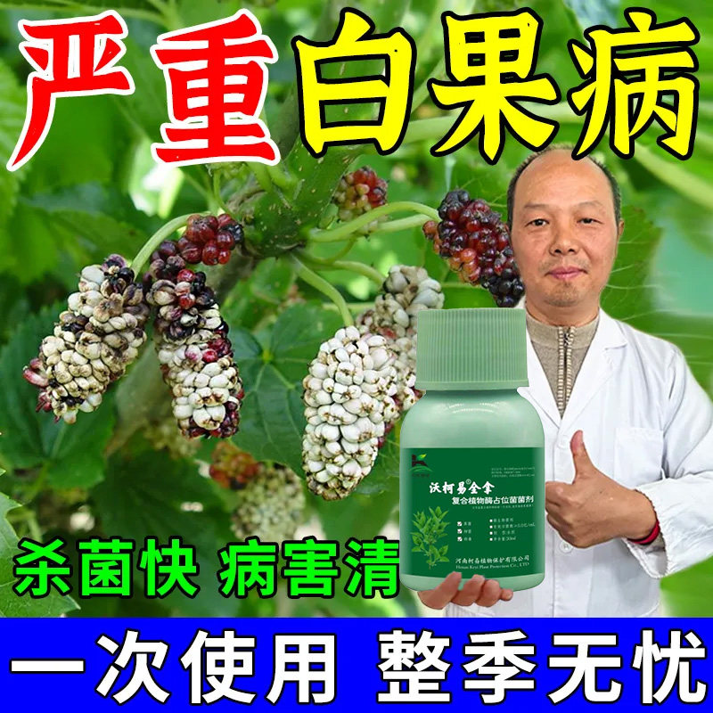 桑树专用药桑叶病药全治桑葚树花叶炭疽病白粉病桑疫病褐斑杀菌剂