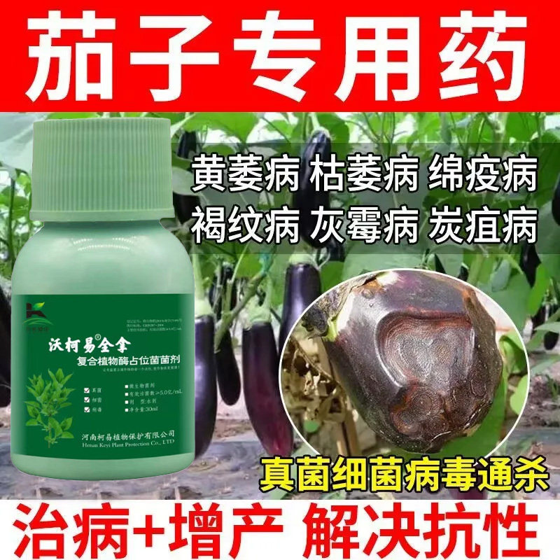 茄子病全治烂果药腐皮烂身早疫叶斑灰霉黄萎炭疽菌核腐病农用正品