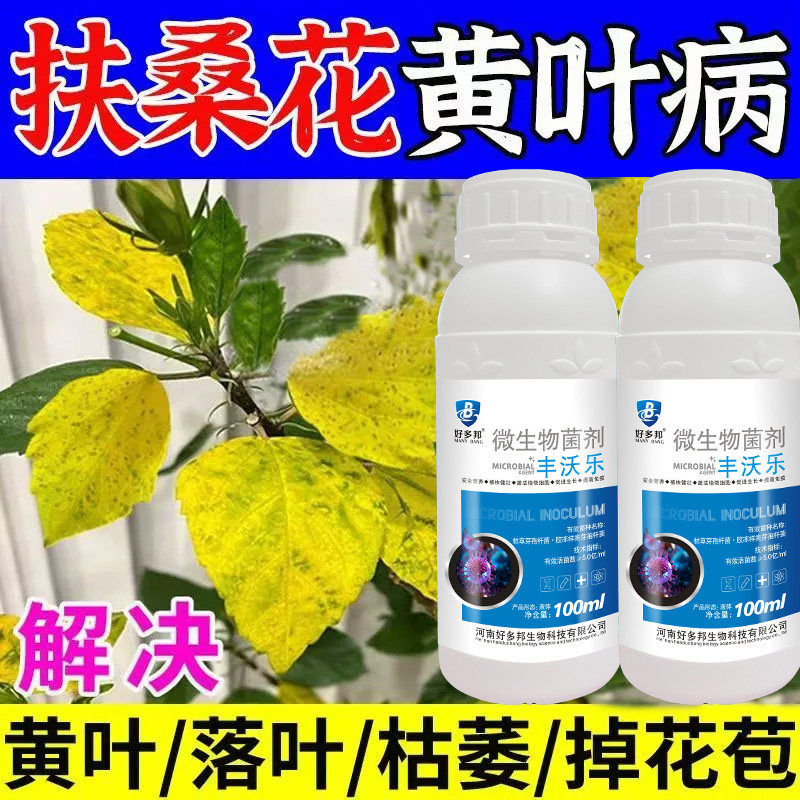 扶桑花黄叶病营养液木槿花叶子发黄掉花苞专用肥重瓣朱瑾养花肥料