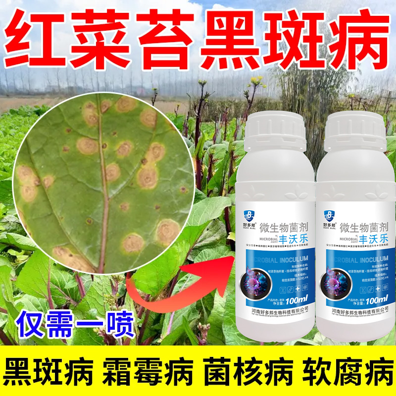 红菜苔专用肥软腐病霜霉灰霉烂根黄叶菌核病菜苔病专用微生物菌剂