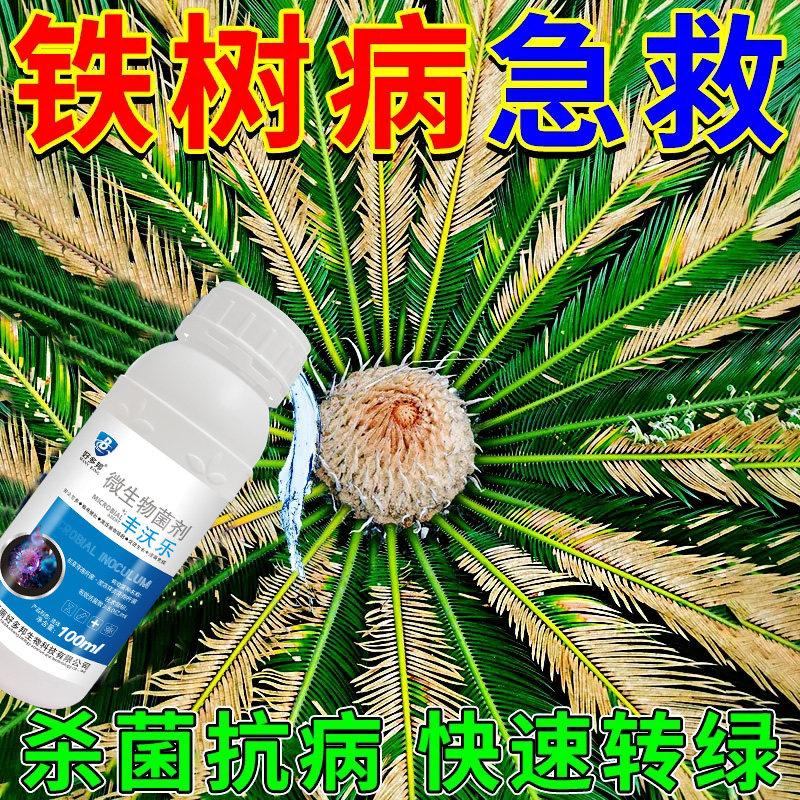 铁树病专用肥料铁树黄叶病叶斑病烂根炭疽病促芽生根微生物菌剂