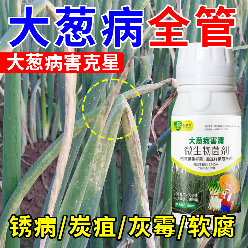 葱叶有白点小葱白斑病白粉病黄叶病病全治大葱白点白斑病全治杀菌