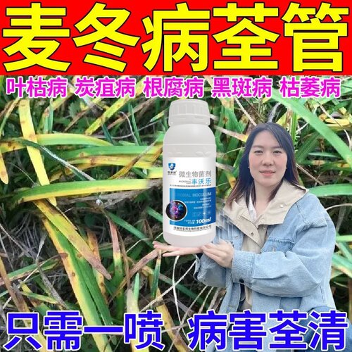 麦冬叶枯病专用杀菌剂麦冬药麦冬病全治烂果病根腐病白粉病叶枯病
